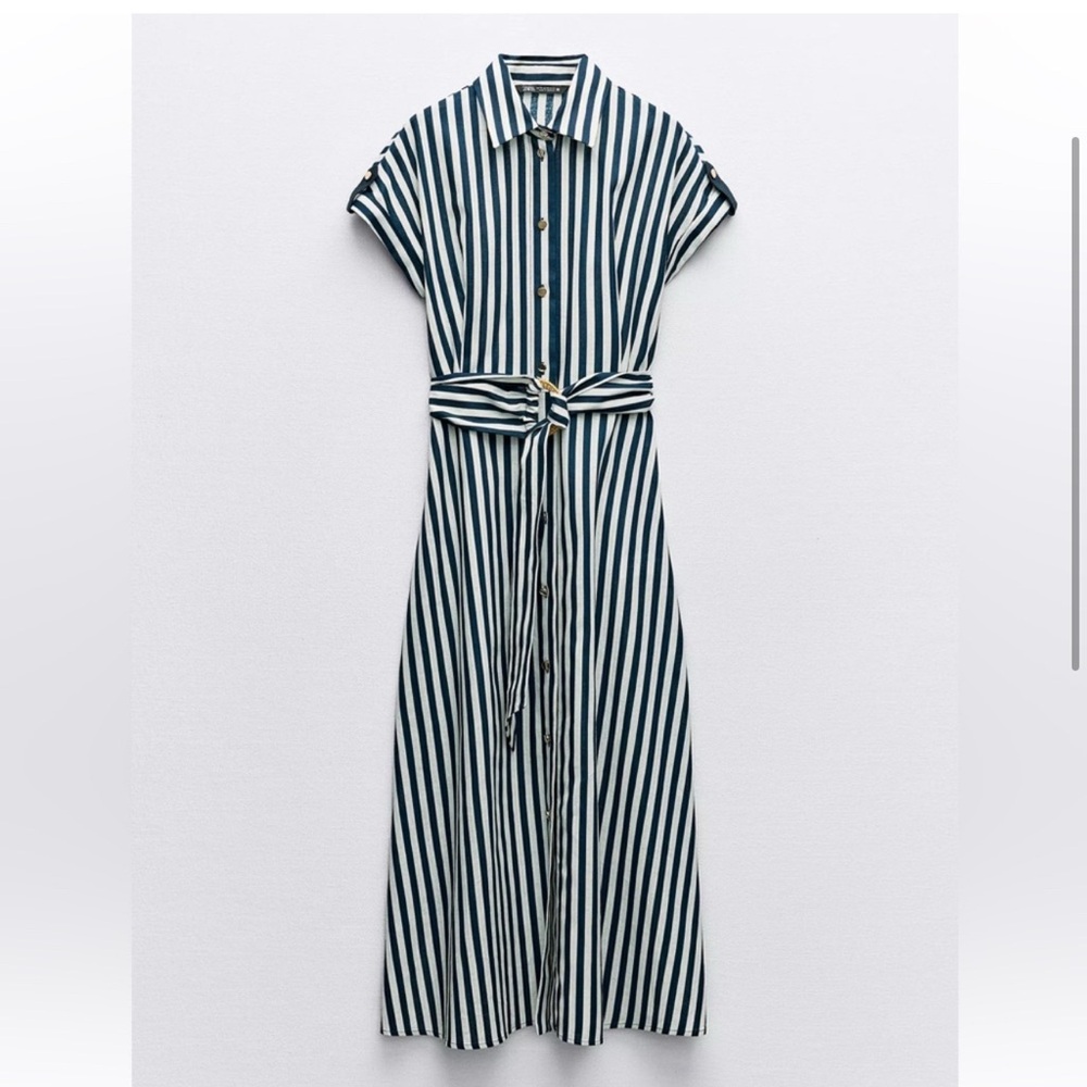 Zara Striped Button-Up Maxi Dress
